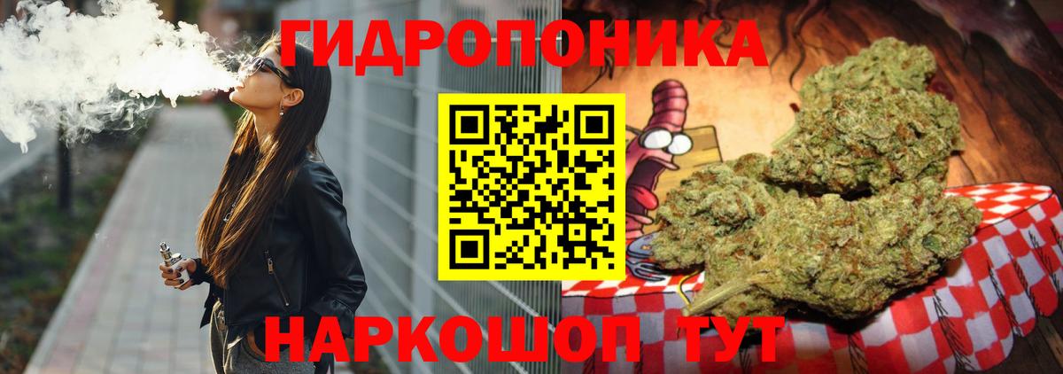 Бошки Шишки план  Шишки марихуана план  Вход с VPN  Каннабис тримм  Ачхой-Мартан  Бошки марихуана конопля 